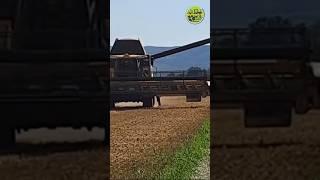 Zum Abtanken🫡 • Getreideernte • Grain Harvest • Harvesting • Harvest • New Holland