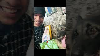 Ada gommala  #praveenjoofficial #thiefcat #shortvideo #dog #fun #funnyvideo