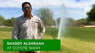 Desert Control Strategies at Coyote Wash Golf Course