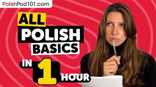 Learn Polish in 1 Hour - ALL Basics Every Beginners Need