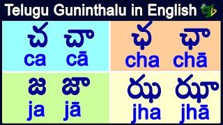 ca cha ja jha guninthalu in English | చ ఛ జ ఝ గుణింతాలు | How to write telugu guninthalu