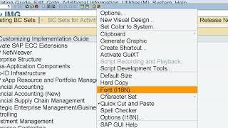 SAP Font | How To Change Font Size In SAP