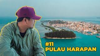 #11 PULAU HARAPAN