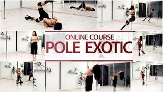 NEW Online Course Pole Exotic