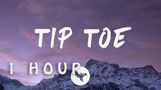 Sheff G & Sleepy Hallow - Tip Toe (Lyrics)| 1 HOUR