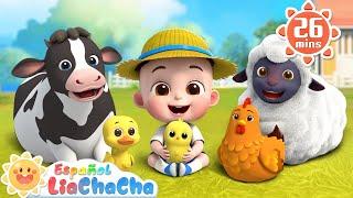 Bebé y los Animales de la Granja | Canción de Granja | LiaChaCha en Español - Canciones Infantiles