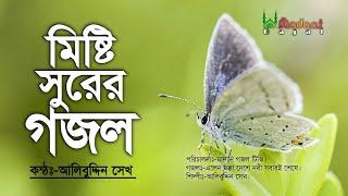 মিষ্টি সুরের মন জুড়ানো গজল || Beautyful Voice Bangla Gojol || Alibuddin Sk || Madani Gajal TV