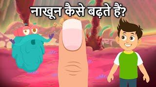 नाखून कैसे बढ़ते हैं? | How Your Nails Grow In Hindi | Dr. Binocs Show