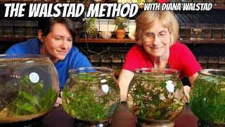 The Simplest Planted Aquarium With Diana Walstad