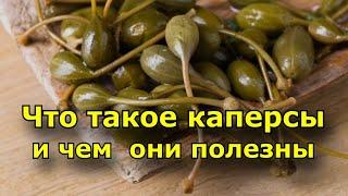 Что такое каперсы? Чем полезны каперсы.