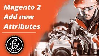 Magento 2 Attributes - How to add a Manufacturer Attribute to your product | BEGINNERS Tutorial