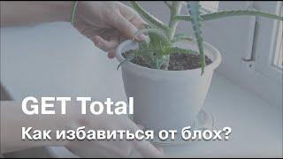 Как избавиться от блох при помощи GET Total?