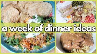 MOTIVATING YOU TO COOK MORE FOR YOUR FAMILY | What’s For Dinner? #344 | 1-WEEK OF REAL LIFE MEALS