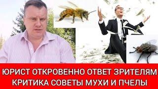 Юрист откровенно. Ответ зрителям. Критика. Советы. Мухи и Пчелы.