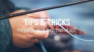 Float-tube predator fishing with shooting heads - Guideline Tips & Tricks
