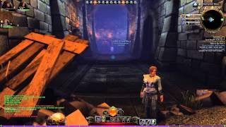 Neverwinter Online: Control Wizard - Care & Feeding