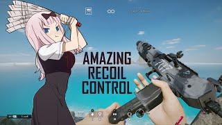 definition of recoil control