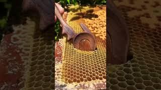  Bees Satisfying | Farm Fresh Honey | Honey #shorts #short #viral