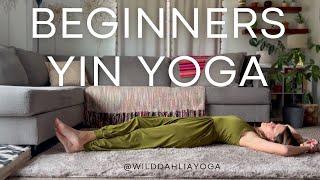 Beginner Yin Yoga Long Body Stretch | Beginner Series Day 1