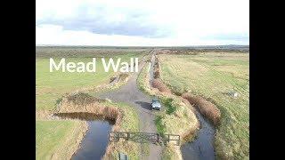 Mead Wall - Cliffe Pools (RSPB) - Kent Byways