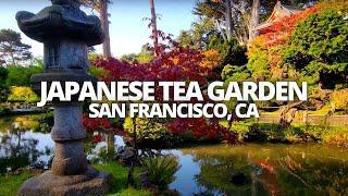 Exploring The Japanese Tea Garden in San Francisco, California USA Walking Tour #japaneseteagarden