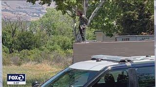 Tense standoff at San Jose elementary school ends with man in custody