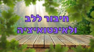 פרופ' עמית צורן - איך להתחבר לאינטואיציה וללב