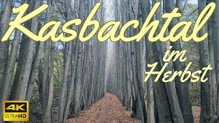 Kasbachtal near Linz am Rhein Germany: Motorcycle ride and hike in fall 4K