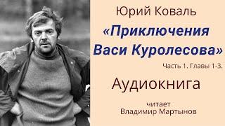 Юрий Коваль - "Приключения Васи Куролесова". АУДИОКНИГА. Часть 1, главы 1-3.