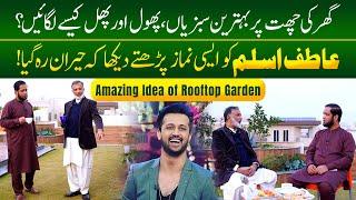 Amazing Idea of Rooftop Garden | Hafiz Ahmed