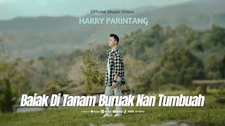 BAIAK DITANAM BURUAK NAN TUMBUAH - HARRY PARINTANG (OFFICIAL MUSIC VIDEO 2024)