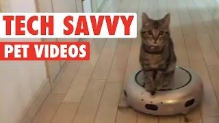 Tech-savvy Pets || Funny Pet Compilation