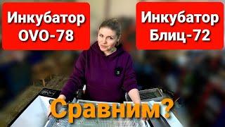 Какой ИНКУБАТОР выбрать OVO или БЛИЦ? Обзор инкубатора OVO-78.