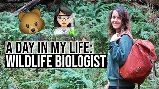 DAY IN THE LIFE OF A WILDLIFE BIOLOGIST // Habitat Assessments