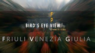 Bird's eye View - Friuli Venezia Giulia - FPV Cinematic