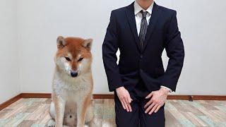 【今までありがとう。】愛犬と離れて暮らすことになりました...