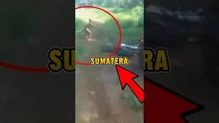 Misteri tentang SUKU BUNIAN 