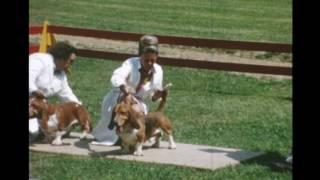 Bryn Mawr Hound Show in Pennsylvania USA 1967