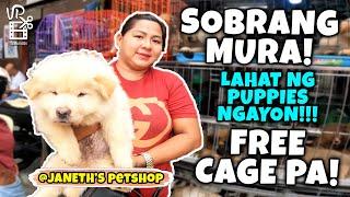 SOBRANG MURA LAHAT NG CUTE PUPPIES DITO SA JANETH'S PETSHOP ARRANQUE WITH FREE CAGE PA! | PT 1