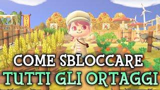 COME SBLOCCARE GLI ORTAGGI  GUIDA AL RACCOLTO PERFETTO Animal Crossing New Horizons