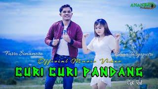 CURI CURI PANDANG  |  FARRO SIMAMORA FEAT ELINA TASYAPUTRI  |  OFFICIAL MUSIC VIDEO  |  LAGU TAPSEL