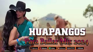 Huapangos Para Zapatear 2024 ~ Huapangos Mix 2024 Para Bailar Mix 2024 ~ Mix de Huapangos