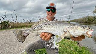 SPECKLED TROUT in a Roadside Ditch! (CATCH & COOK)