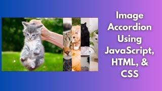Image Accordion using JavaScript, HTML, and CSS | Image Accordion