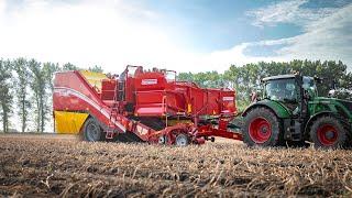 GRIMME EVO 260