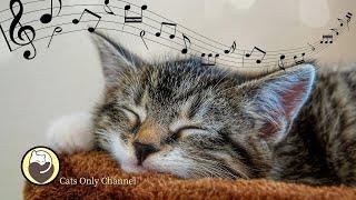Cat Music - Harp Music and Water Sounds for Relaxation