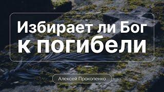 Избирает ли Бог к погибели | Алексей Прокопенко