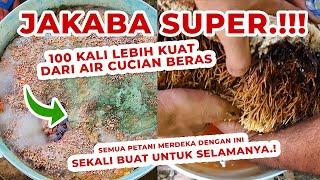 Pupuk Organik Cair ini 100 Kali Lebih Kuat Dari Air Cucian Beras / Leri - JAKABA SUPER