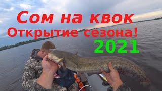 Сом на квок / Открытие сезона 2021