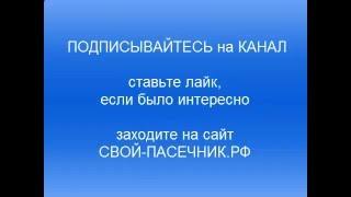 ▶ОГНЕВКА ПЧЕЛИНАЯ - НАСТОЙКА ОГНЕВКИ - ВОСКОВАЯ ОГНЕВКА - МОЛЬ ОГНЕВКИ ОТЗЫВЫ